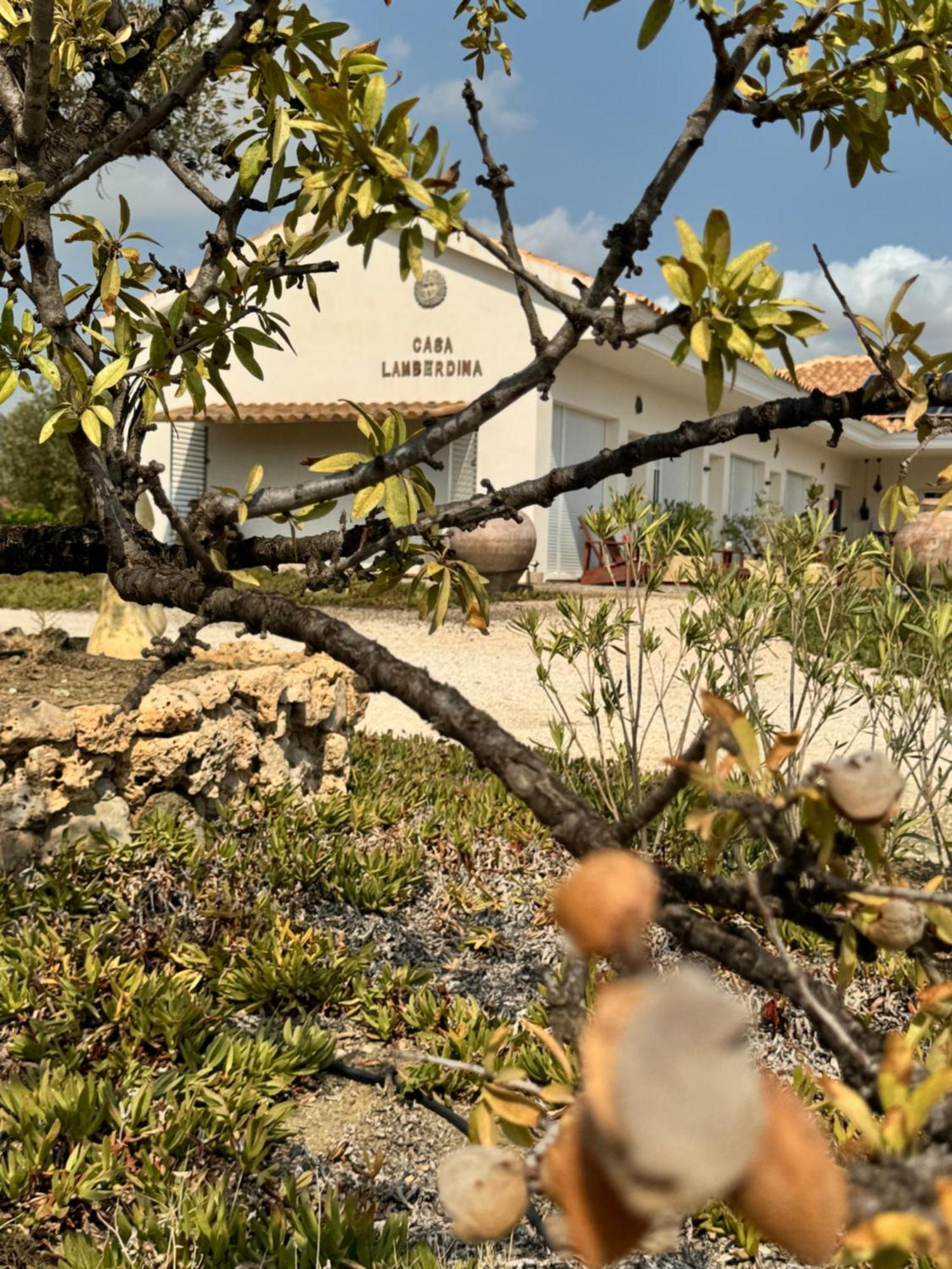 Bed and Breakfast Casa Lamberdina Fuensanta  Екстер'єр фото